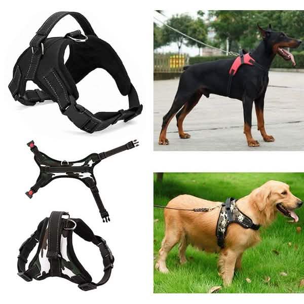 Dog Soft Adjustable Harness